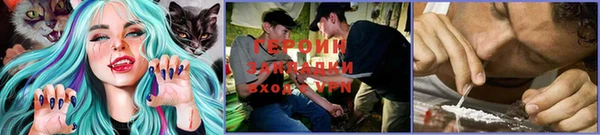 амф Алзамай