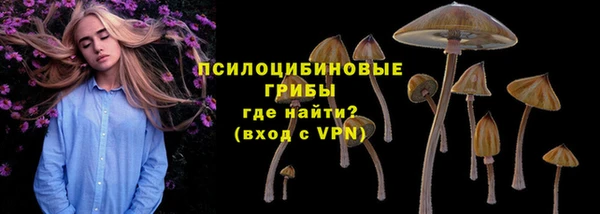 spice Алексеевка
