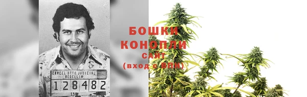 спайс Алексин
