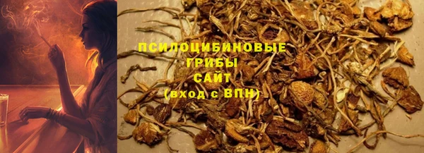 амф Алзамай